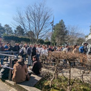 PXL_20250220_114454295